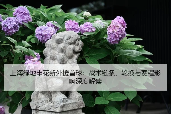 shang-hai-lv-di-shen-hua-xin-wai-yuan-shou-qiu-zhan-shu-lian-tiao-lun-huan-yu-sai-cheng-ying-xiang-shen-du-jie-du-2-674.jpg